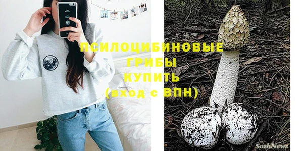 Альфа ПВП Беломорск
