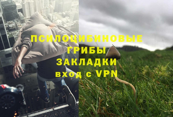 Альфа ПВП Беломорск